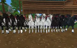 Sso horses ranking