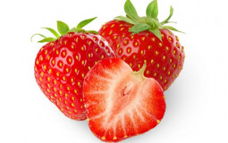 fruits