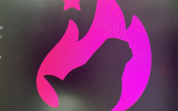 My starstable horses