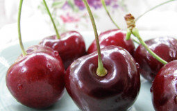 Berries
