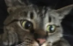f1e12eawdewewe12tyrhtfhcxdgsg1