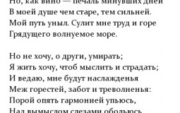 крутой тир лист либо же очень крутой