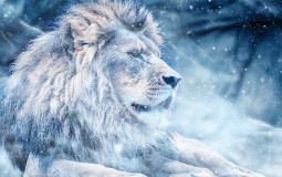 WinterLion SMP