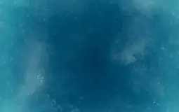 Lol