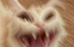 qjhmfdsbajv