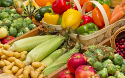 Nutrición Comunitaria