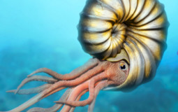 Prehistoric fishy