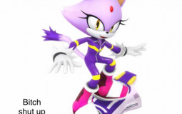Sonic Twitter