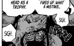 One piece power