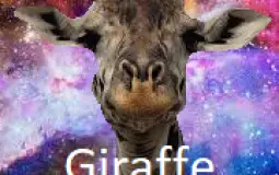 Jaajfisajfff