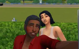 Best sims