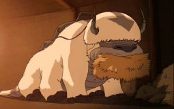 appa