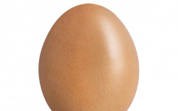 who I think could boil the best egg
