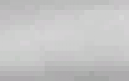 xd