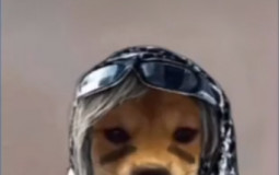 Deutsche streamer