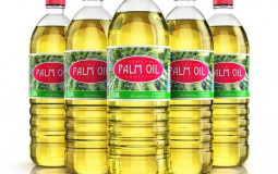 Seed Oils