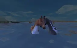 My Horses | SSO |