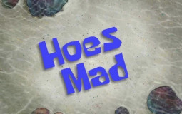 Twitter Followers