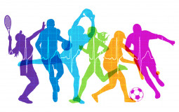 Best sports in the World