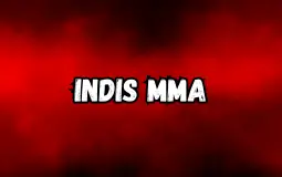 ufc middleweights