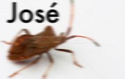 Danger Tier