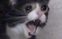 Will I f*ck this SCP