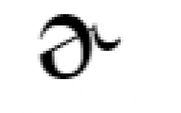 rhotics