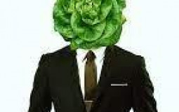 Epic lettuce tier list