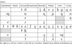 IPA Consonants Tier List Tier List Maker - TierLists.com