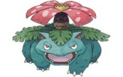 Pokémon teams