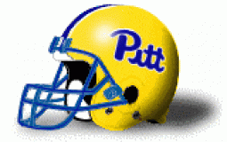 Pitt Panthers Helmets