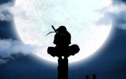 Team Hawk Tier List