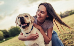 Dog owners
