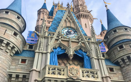 Disney Rides- Magic Kingdom