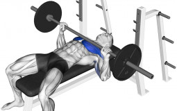 Weightlifting Movements