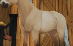 Star Stable Horses