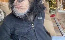 Friens