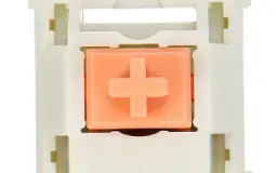 wi9ndrose