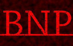 Theofficialbnp Sandwich Builder