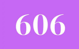 turma 606