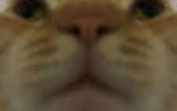 3444