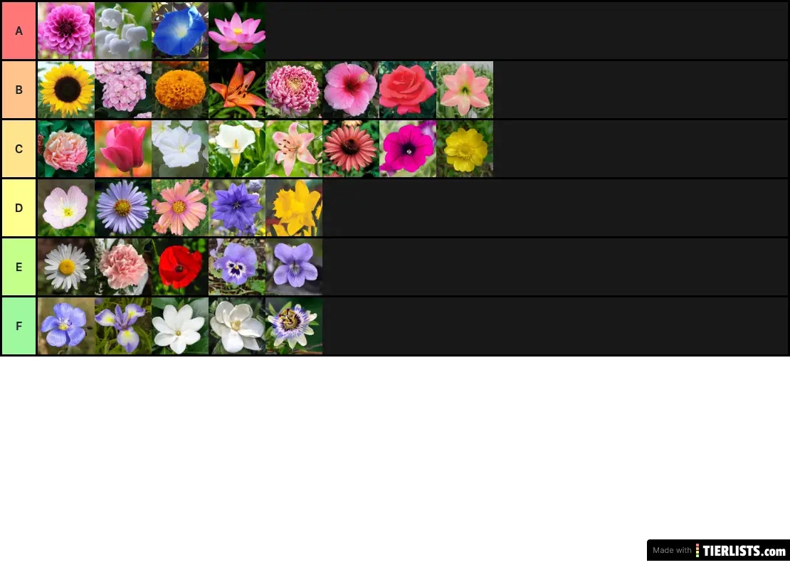 Flower Tier List
