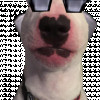 Grilledcheems Avatar
