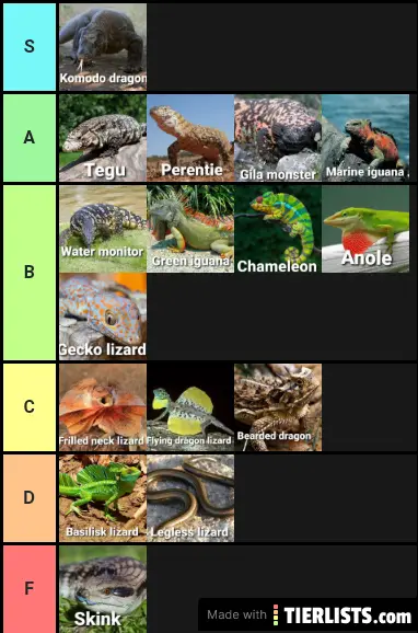 Lizard Tier List Tier List Maker TierLists