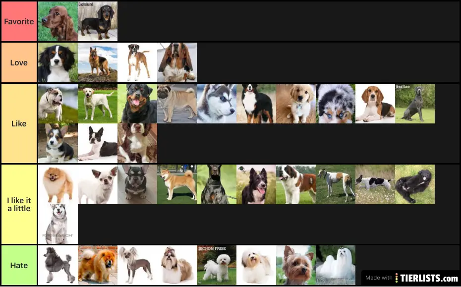 The Dog Tier List 
