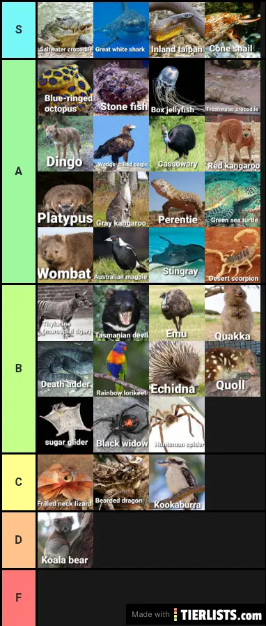 Outback tier list