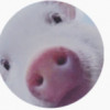 Piggy Avatar