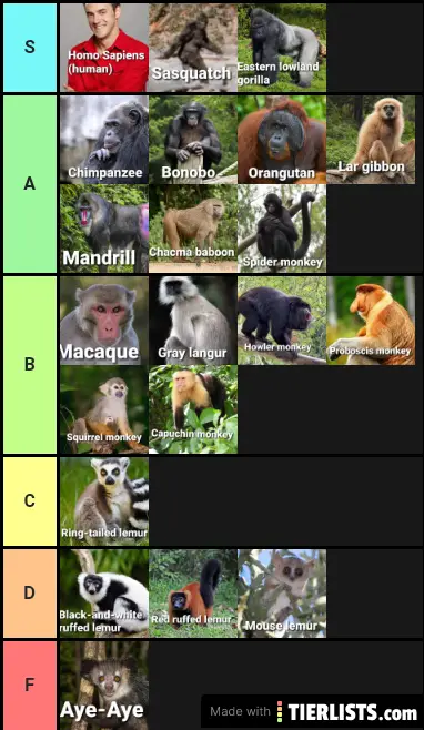 Primate tier list