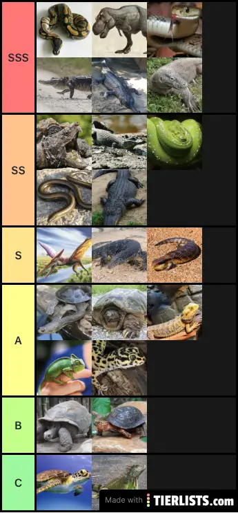 Reptiles (Nonfictional)