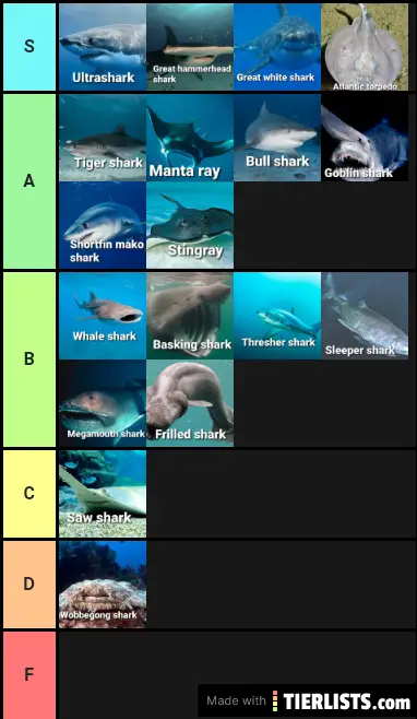 Shark and Ray tier list
